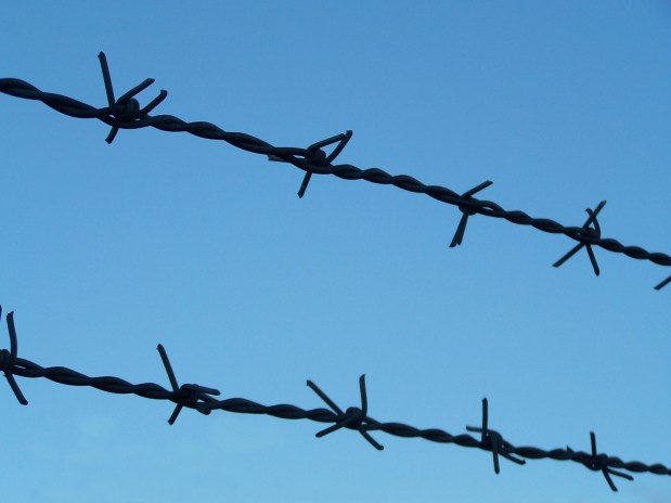 barbed_wire_in_the_sky